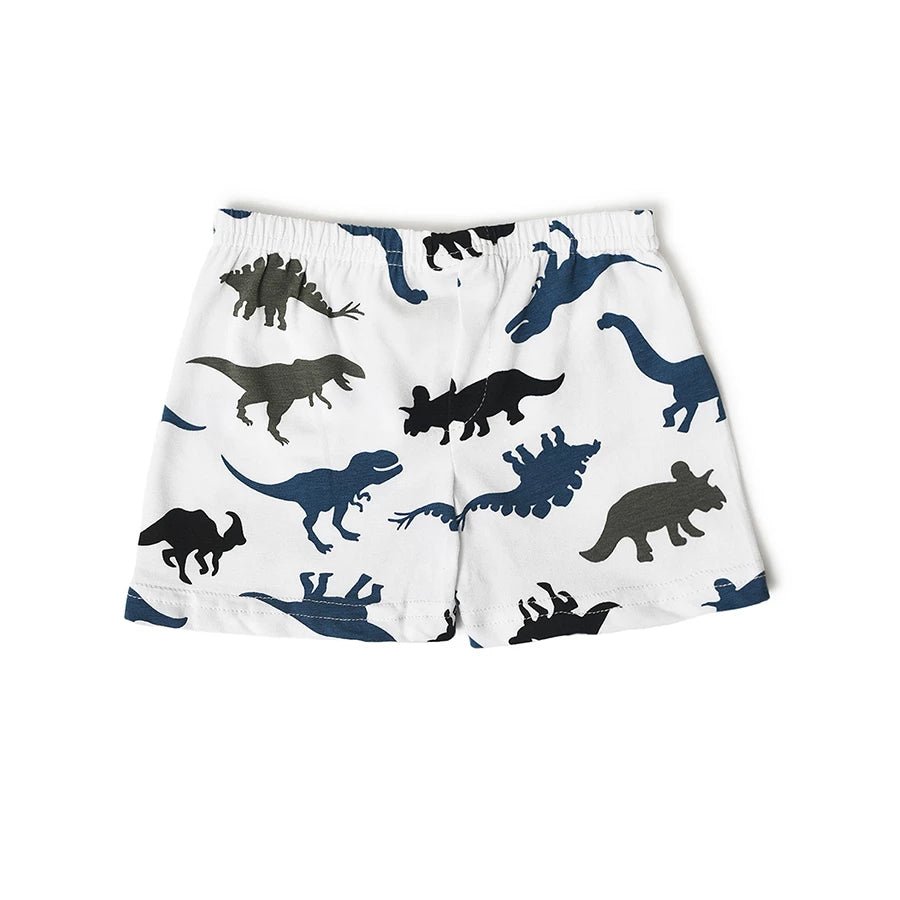 Boys Dino Print Shorts and Vest Set-Clothing Set-8