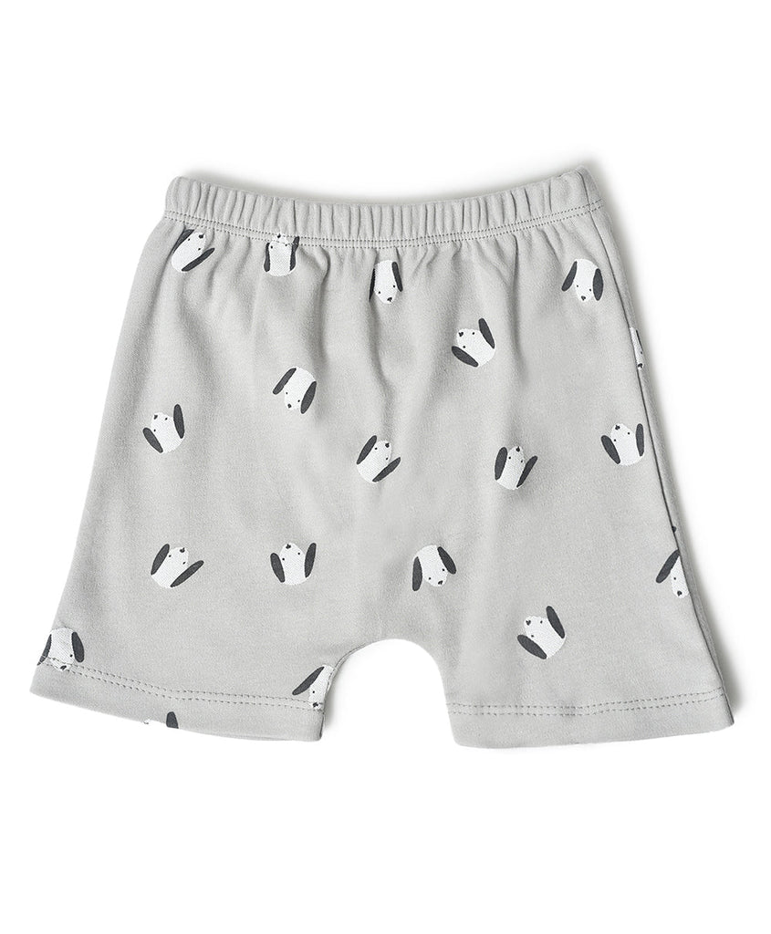Buddy Kids Comfy Shorts- Pack of 3 Shorts 2