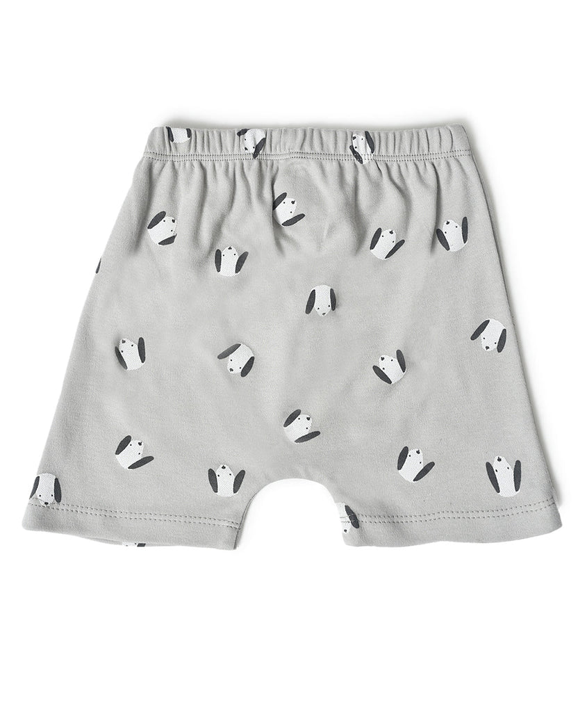 Buddy Kids Comfy Shorts- Pack of 3 Shorts 3