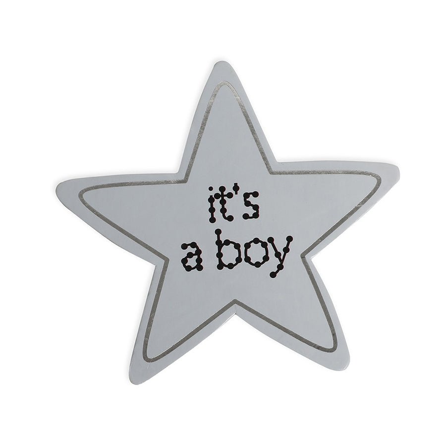 Constellation Baby Boy Monthly Growth Milestone Cards Milestone 3