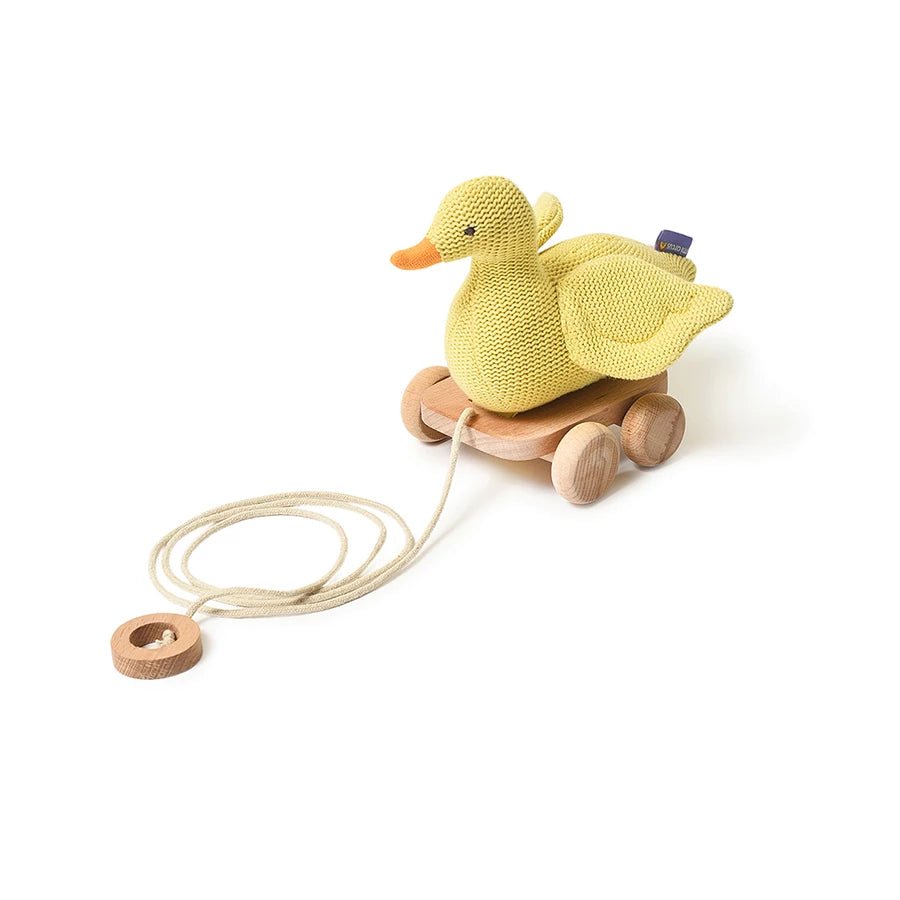 Duck Push & Pull Soft Toy - Soft Toys