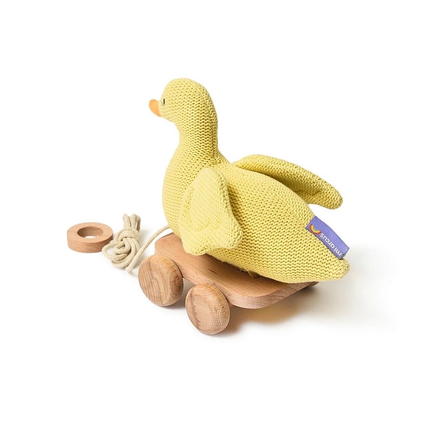 Duck Push & Pull Soft Toy - Soft Toys