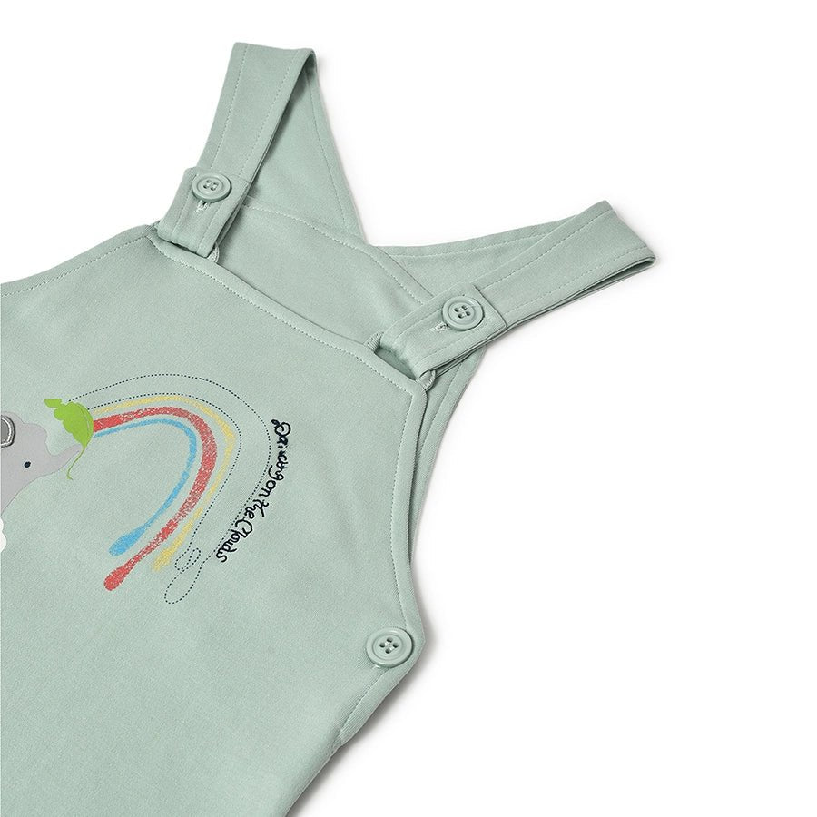 Playful Dungaree with T-shirt set for Babies-Dungaree-11
