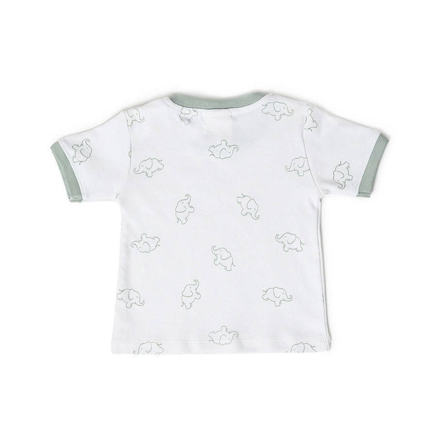 Playful Dungaree with T-shirt set for Babies Dungaree 3