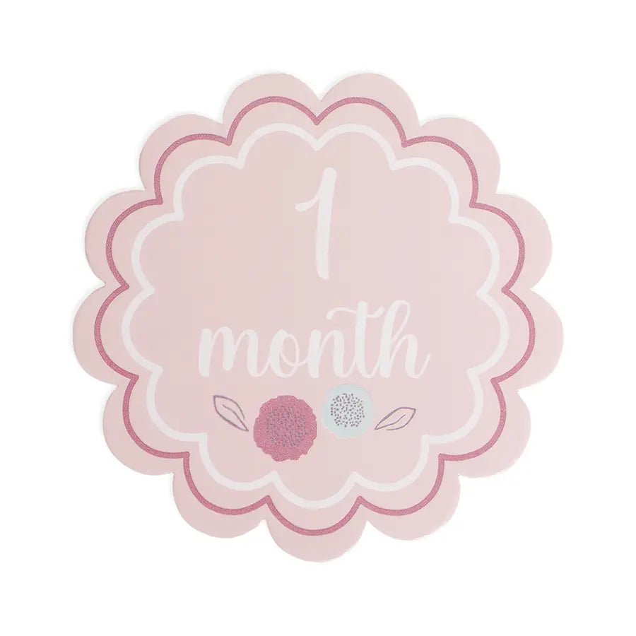 Sweet Spring Baby Girl Monthly Growth Milestone Cards Milestone 3