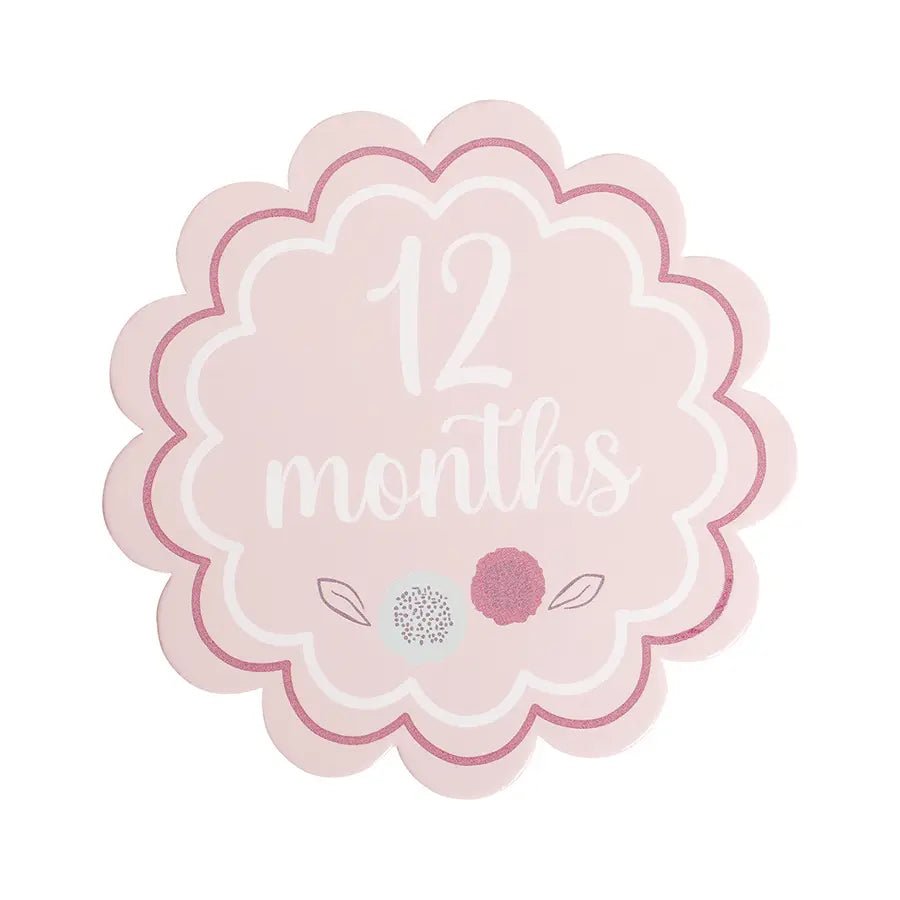 Sweet Spring Baby Girl Monthly Growth Milestone Cards Milestone 15