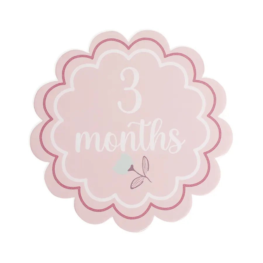 Sweet Spring Baby Girl Monthly Growth Milestone Cards Milestone 5