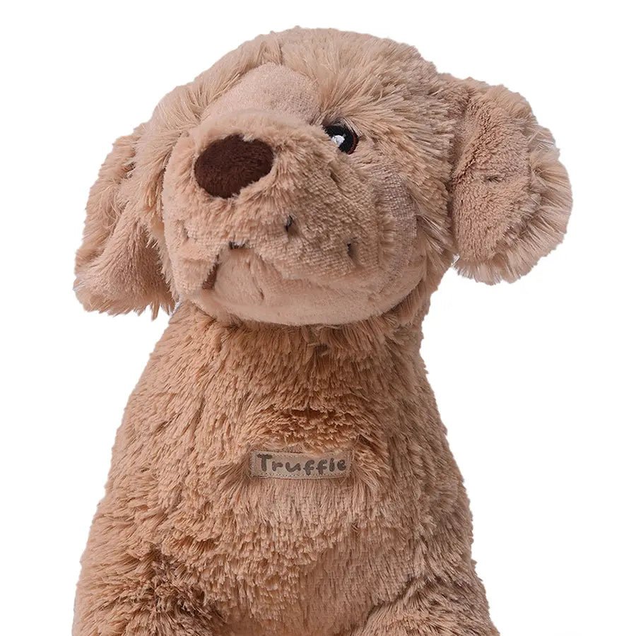 Dog toys hot sale near me