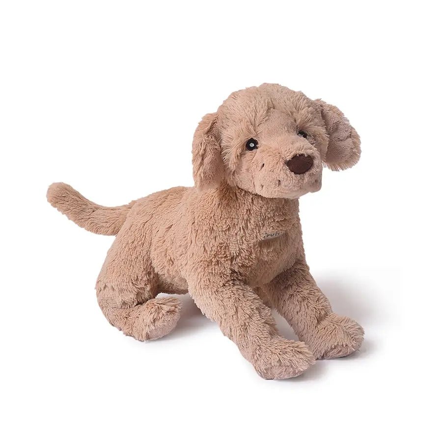 Soft top toy dog